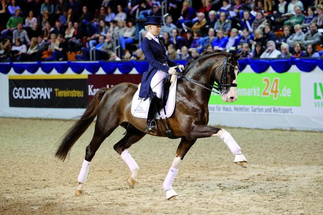 Callaho's Benicio Image