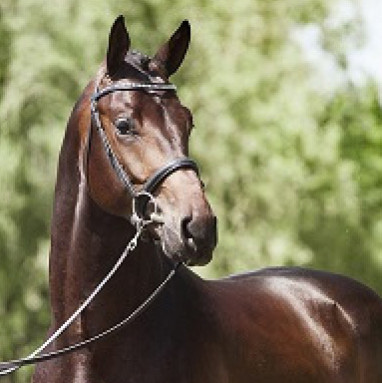 Hermès Image