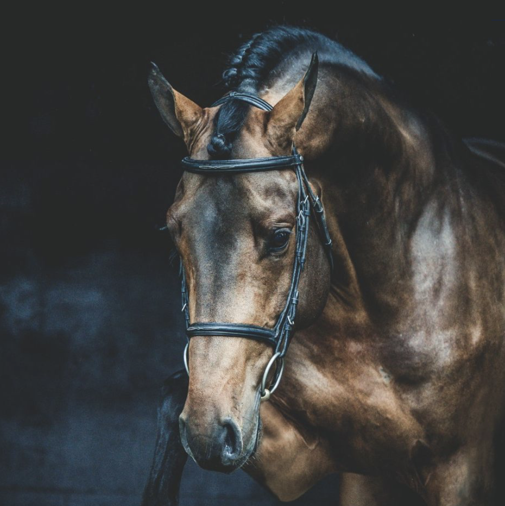 Dourkhan Hero Z Image